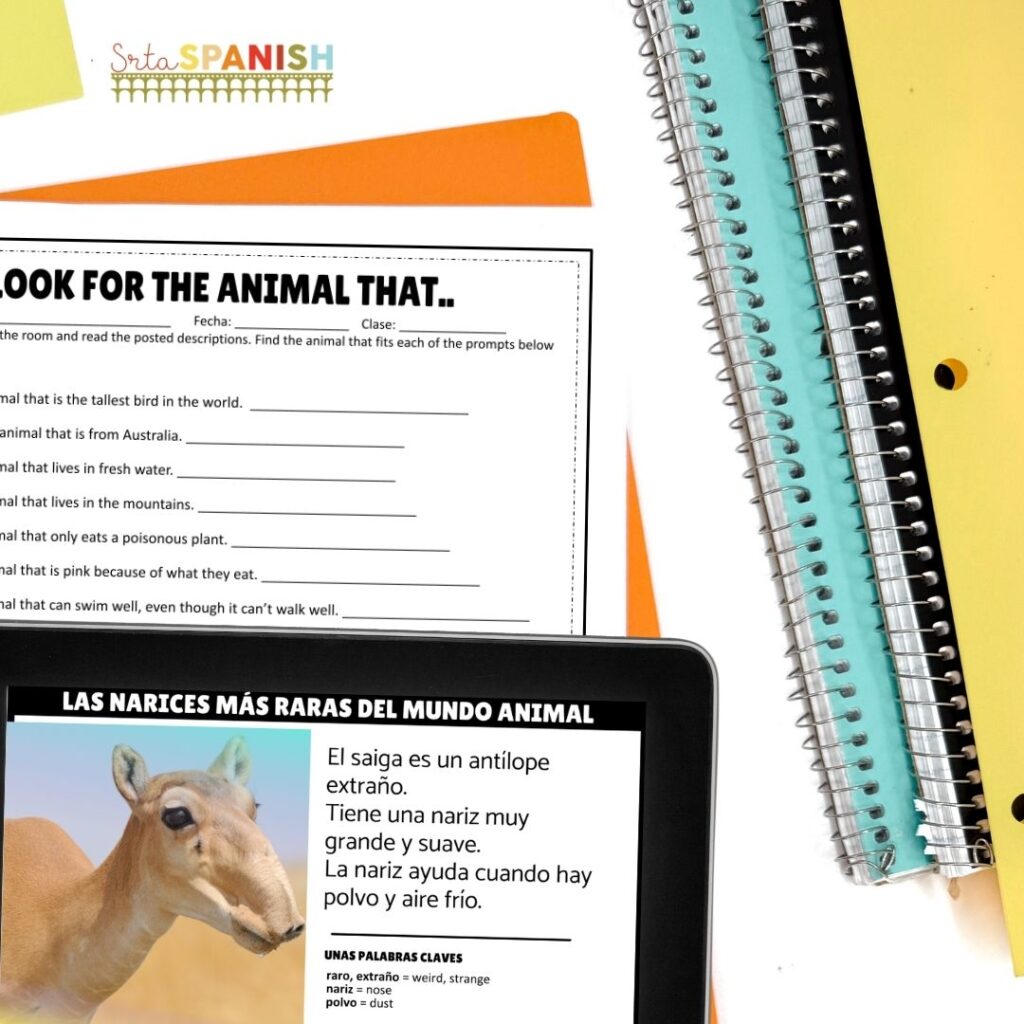 Teaching Animals in Spanish Worksheets & Activities - Srta Spanish